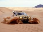 Peugeot 205 T16 Rally Car 1984 года